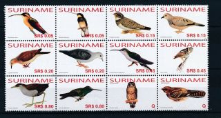 [352554] Suriname 2006 Birds Good Set Very Fine Mnh Stamps