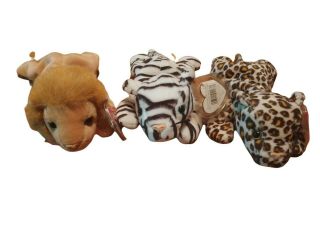 Ty Beanie Baby With Tags Various Large Cats 1990s