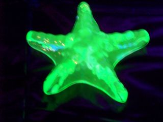 Vaseline Uranium Glass Star Fish (0000999)