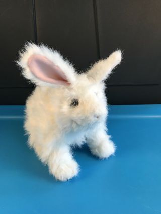 Furreal Friends Hop - N - Cuddle Bunny Rabbit White Plush Frf Hasbro - See Video