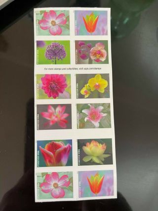 Garden Beauty Usa Forever Stamps Book Of 2000.  Shipped With Usps