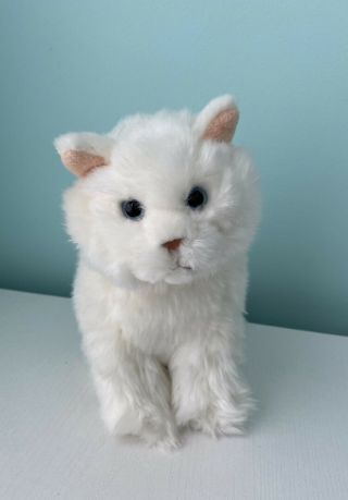Webkinz Signature White Persian Cat - No Code - Ganz Plush