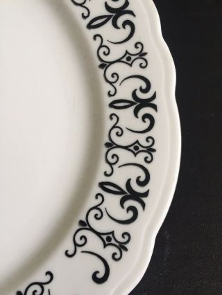 Homer Laughlin Dinner Plate White Black Scalloped Edges 2