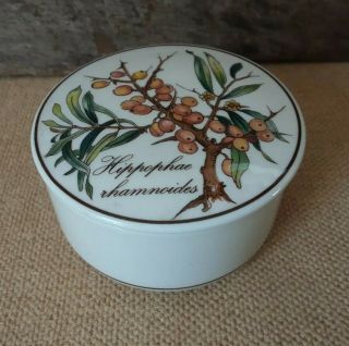 Vintage Villeroy & Boch Botanica 3.  25 " Round Porcelain Trinket Box 920b