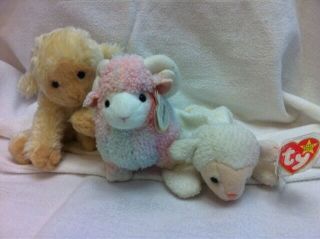 Ty Beanie Babies Meekins,  Bam & Fleece (lambs/ram) Nwt