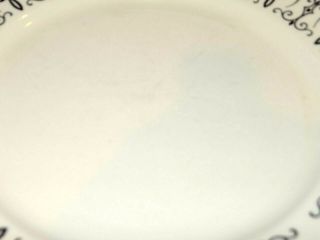Homer Laughlin Dinner Plate Eggshell White Black Design Rim 9.  75 