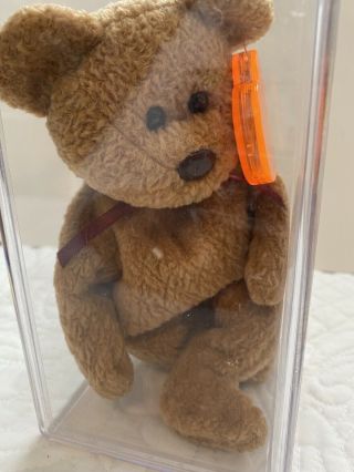 Ty “curly” The Bear Beanie Baby With Brown Nose And Pe Pellets.  Tags.