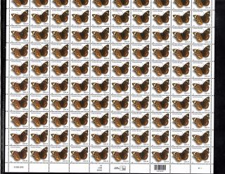 Sheet Scott 4000,  24c Stamp Common Buckeye Sheet Of 100 Mnh Og Bcv $75