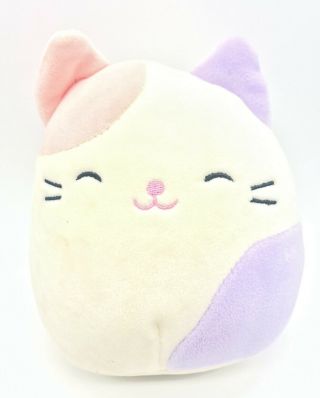 5” Squishmallows Charlotte Cat Pink Purple Plush 2018 Collectible Stuffed Toy