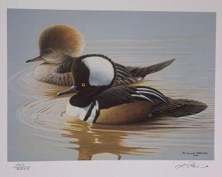 Rare 1986 Maryland Duck Stamp & Print,  Hooded Mergansers By Louis Frisino