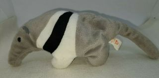Ty Beanie Baby " Ants " The Aardvark Vintage Retired No Tags 1998