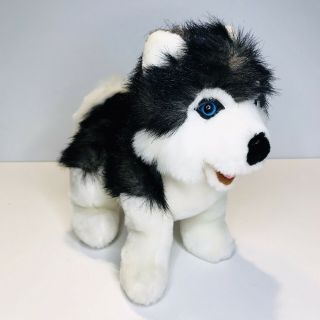 Bj Toy Siberian Husky Dog Blue Eyes 9 " Plush White Greyblackstuffed Animal Toy