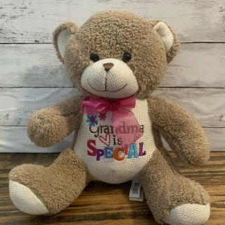 Dan Dee Collectors Choice Teddy Bear Plush Grandma Is Special Stuffed Animal Toy