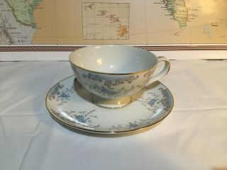 Tea Cup And Saucer Imperial China W.  Dalton Japan Seville 5303 (nm5564)