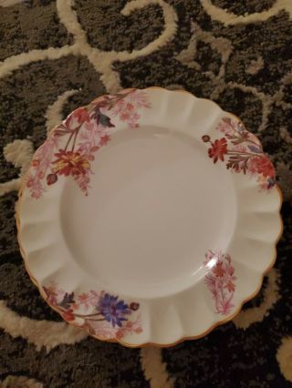 Copeland Spode Chelsea Garden R9781 Bread And Butter Plate (s) 6 Inch