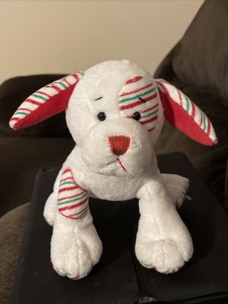 Ganz Webkinz Peppermint Puppy Plush 8 " Christmas Dog Hm467 Stuffed Animal White