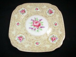 Cookie Biscuit Plate Royal Albert Pink Roses Devonshire Lace Champange Field