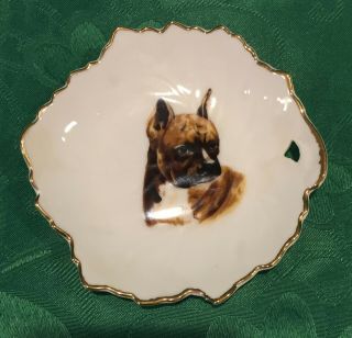 Vintage Brinnco China Leaf Shaped Small Plate,  Trinket Dish W/ Boxer Dog,  Japan