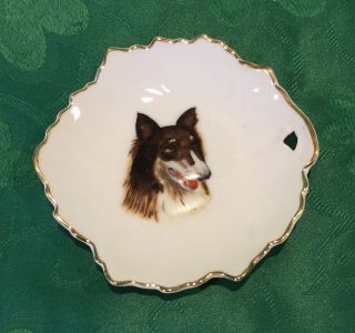 Vintage Brinnco China Leaf Shaped Small Plate,  Trinket Dish W/ Collie Dog,  Japan