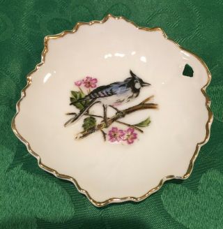 Vtg Brinnco China Leaf Shaped Small Plate,  Trinket Dish W/ Bird,  Blue Jay,  Japan