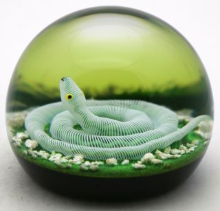 Large Paul Ysart Filigree Snake On Mossy Ground Art Glass Paperweight