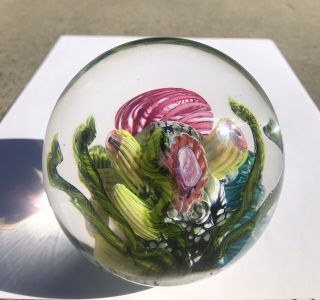 SIGNED DATED STUDIO ART GLASS PAPERWEIGHT MARK ECKSTRAND UNDERSEA CORAL REEF 3