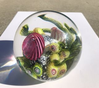 SIGNED DATED STUDIO ART GLASS PAPERWEIGHT MARK ECKSTRAND UNDERSEA CORAL REEF 5