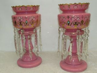 Exquisite Victorian Bohemian Pair 14 " Gold Gilt Pink Cased Glass Mantle Lusters