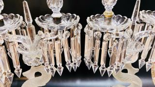BACCARAT STYLE DOLPHIN CRYSTAL GLASS CANDELABRA LUSTERS 5