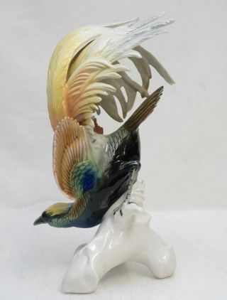 Karl Ens Porcelain - Large Bird Of Paradise Figurine - 7420 - Fine