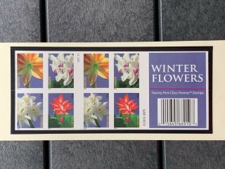 Scott 4862 - 4865b Us Winter Flowers Forever M/nh O/g 20 Stamps
