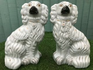 Pair: Mid 19thc Staffordshire White & Gilt Spaniel Dogs No2 Under C1860s