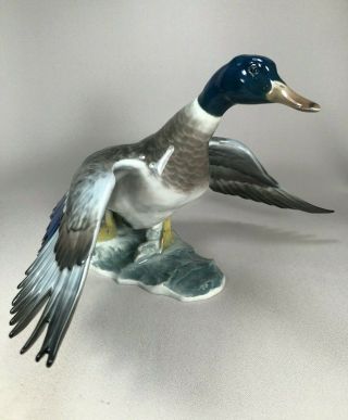 Rosenthal Germany Large Porcelain Figurine Of A Mallard Duck In Flight,  C.  1957