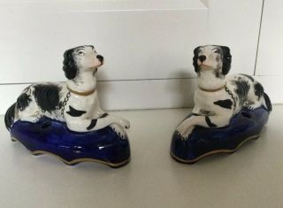 Pair Antique English Staffordshire Spaniel Dogs Figurines Cobalt Base