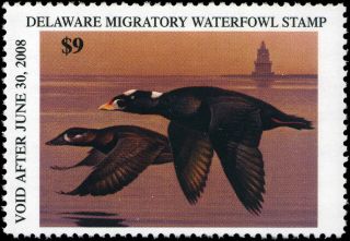 Delaware 28 2007 State Duck Surf Scoter / Lighthouse By George Lockwood