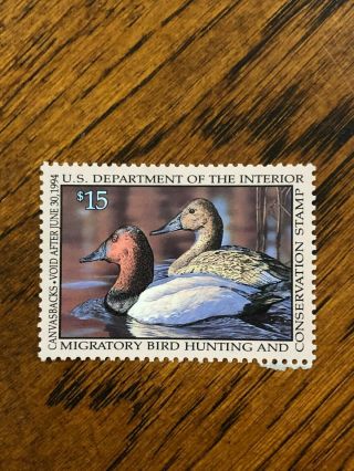 Rw 60 $15.  00 Canvasbacks Duck Stamp,  Never Hinged,