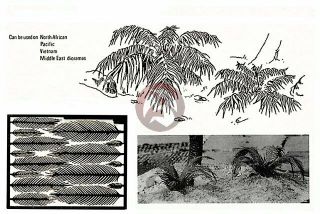 Verlinden 1/35 Palm Plants (north Africa,  Pacific,  Vietnam,  Middle East) [pe] 58