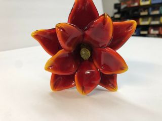 Hqt Art Glass Amberina Red Orange Yellow Ruffled Long Stem Glass Flower 19 "
