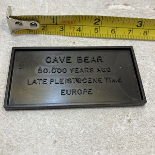 Name Plate Only 1972 Aurora Prehistoric Scenes The Cave Bear Model