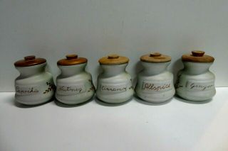 Australian Ceramic Pottery Spice Canisters Set Of 5 Ellis Mid Century