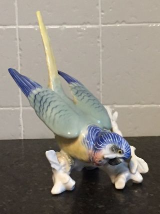 Stunning Vintage Karl - Ens Volkstedt Porcelain Bird Figure
