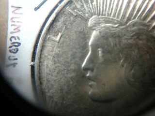 1922 - D Peace Silver Dollar - Die Cracks - Unique 90 Silver Dollar